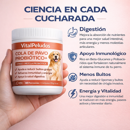 Cola de Pavo Probiótico™