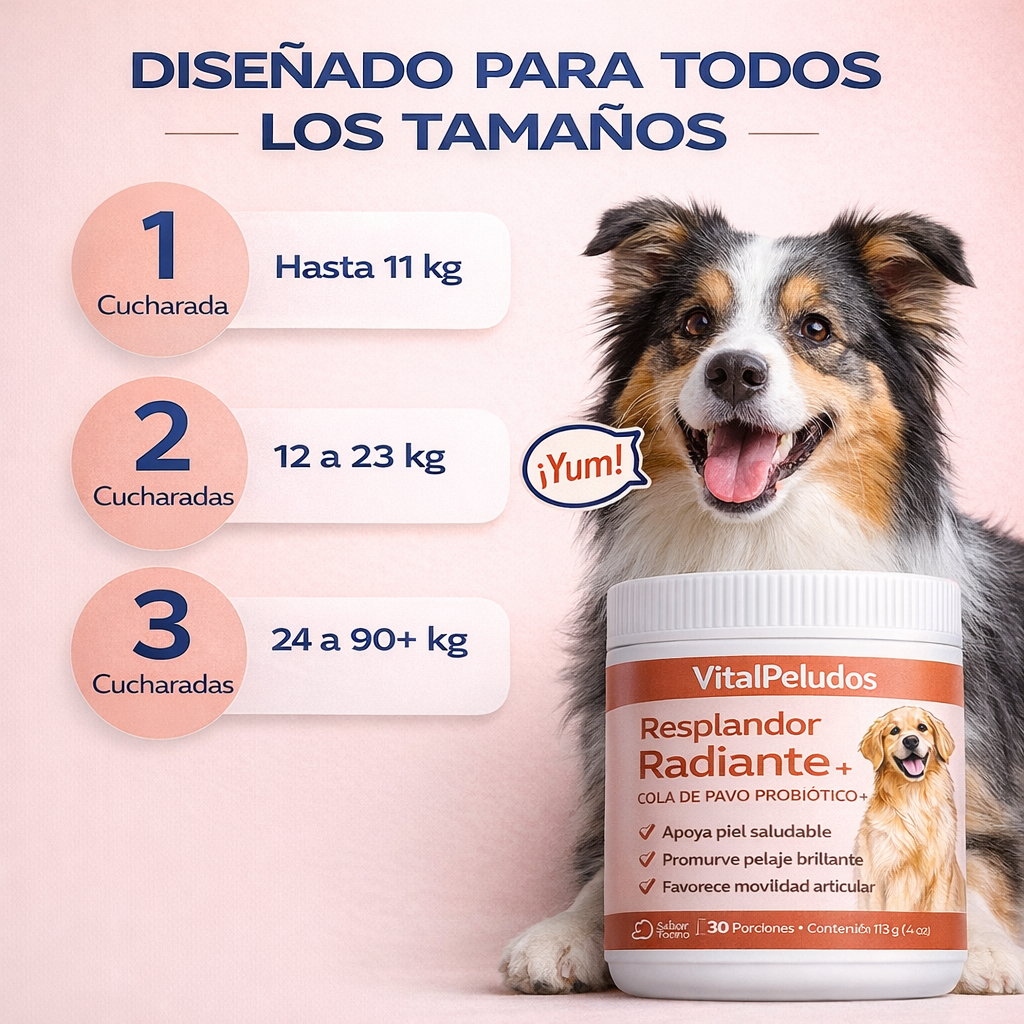 Cola de Pavo Probiótico™