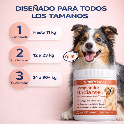 Cola de Pavo Probiótico™