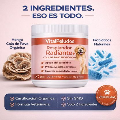 Cola de Pavo Probiótico™