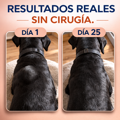 Cola de Pavo Probiótico™